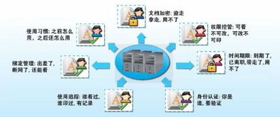 網絡與信息安全軟件開發 構筑數字世界的防線